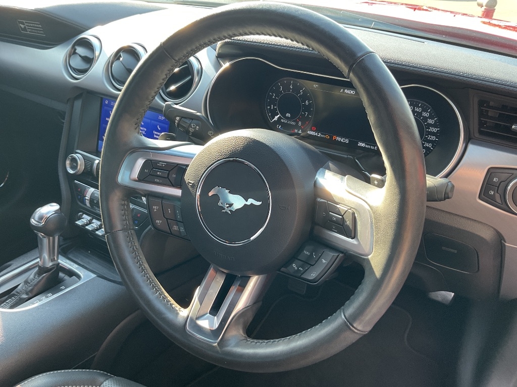 Used car gallery